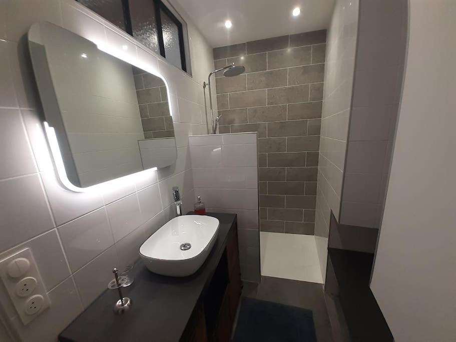 Classe 4 Etoiles - Cybele - Centre Ville 2 Chambres, Cour Privative Et Garage Vienne Kültér fotó